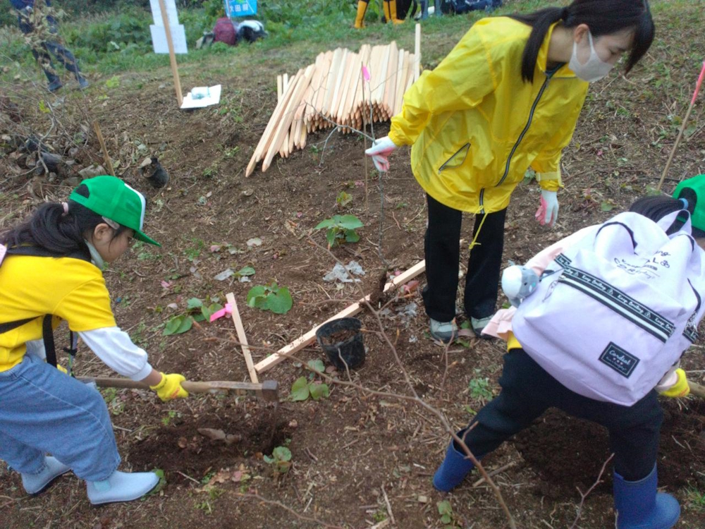 白神植樹ボランティアに参加しました。のアイキャッチ画像
