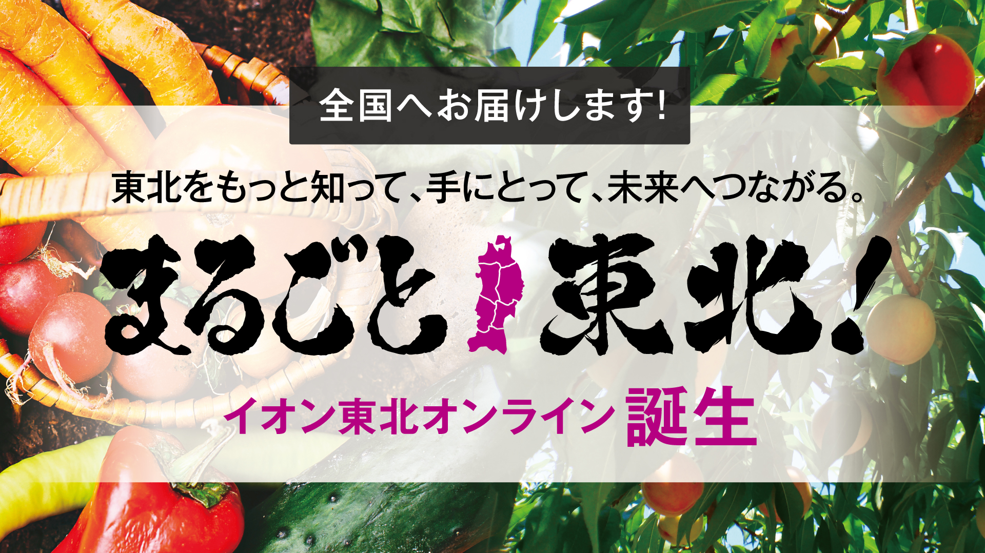 マックスバリュ野辺地店 お客さまサイト｜イオン東北株式会社