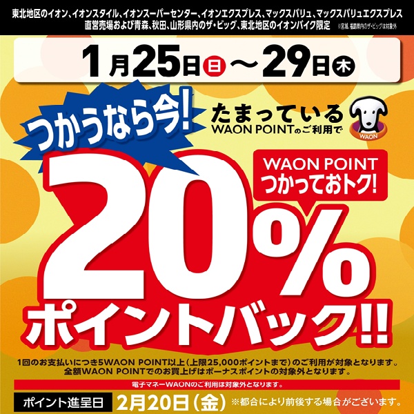 260125ポイントバック