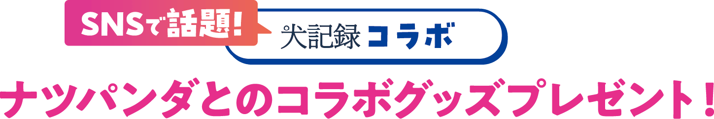 SNSで話題！ 犬記録コラボ ナツパンダとのコラボグッズプレゼント！