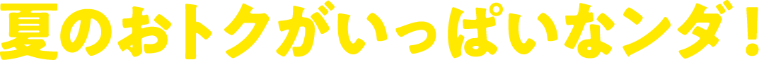 夏のおトクがいっぱいなンダ！